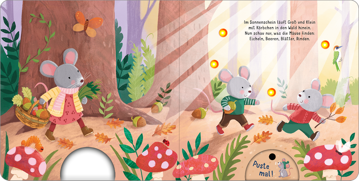 Gezeigt wird eine Innen- oder Zusatzansicht von „Mein liebstes Pustebuch – Hurra, der Herbst ist da!“.