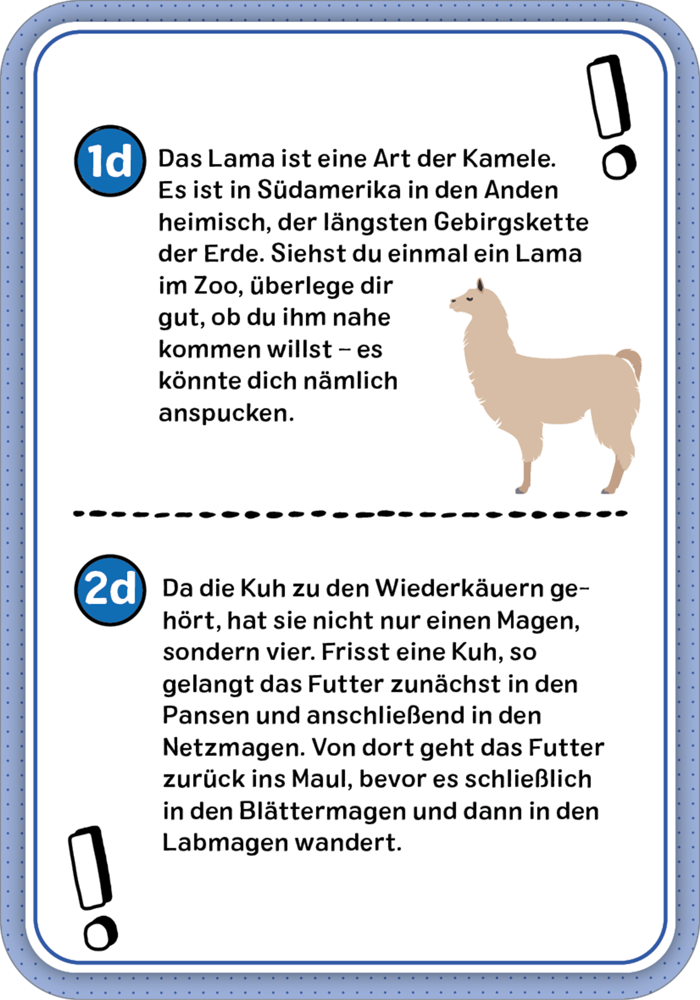 Gezeigt wird eine Innen- oder Zusatzansicht von „Das Wissens-Quiz“.