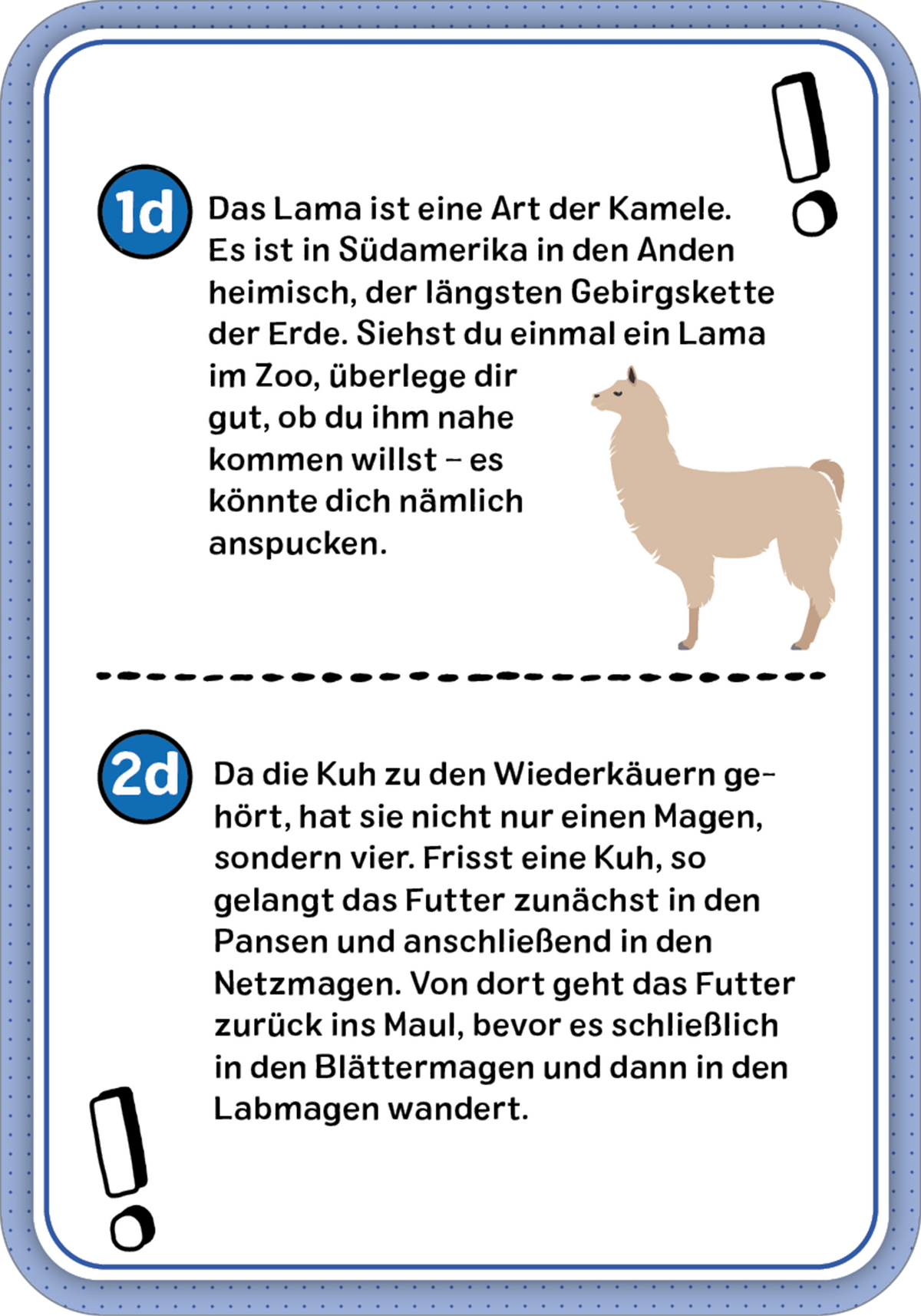 Gezeigt wird eine Innen- oder Zusatzansicht von „Das Wissens-Quiz“.