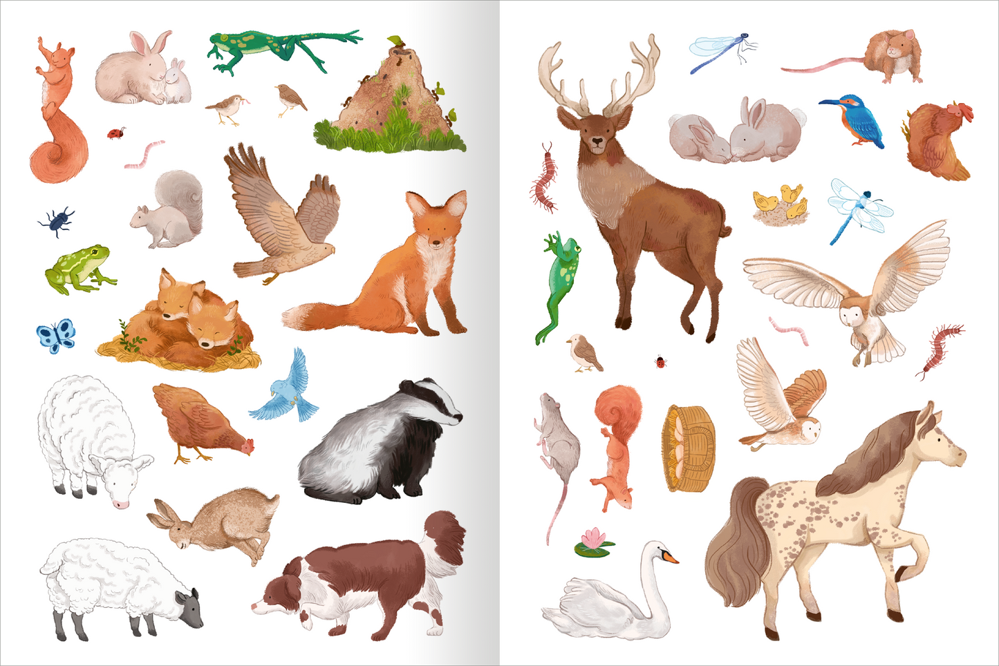 Gezeigt wird eine Innen- oder Zusatzansicht von „Mein Endlos-Stickerspaß – Tiere“.