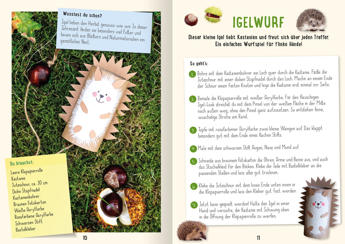 Gezeigt wird eine Innen- oder Zusatzansicht von „Mein Kastanien-Bastelbuch“.