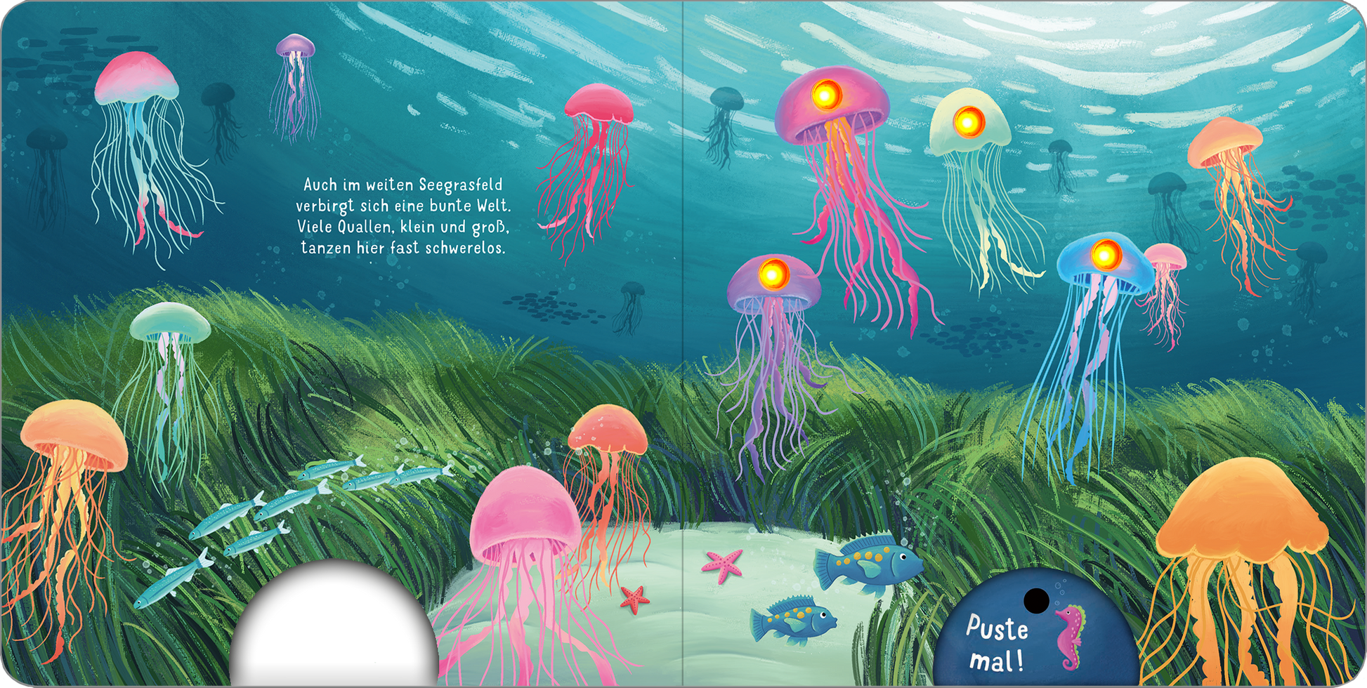 Gezeigt wird eine Innen- oder Zusatzansicht von „Mein liebstes Pustebuch – Unter Wasser“. Die Illustration zeigt eine lebendige Unterwasserlandschaft mit bunten Quallen in verschiedenen Farben, darunter Pink, Blau und Gelb, die elegant durch das Wasser gleiten. Im Vordergrund sind grüne Wasserpflanzen und spielerische Fischfiguren zu sehen. Die verwendete Schrift ist freundlich und verspielt, mit der Aufschrift „Puste mal!“ in einer auffälligen Schriftart, die zum Interagieren...