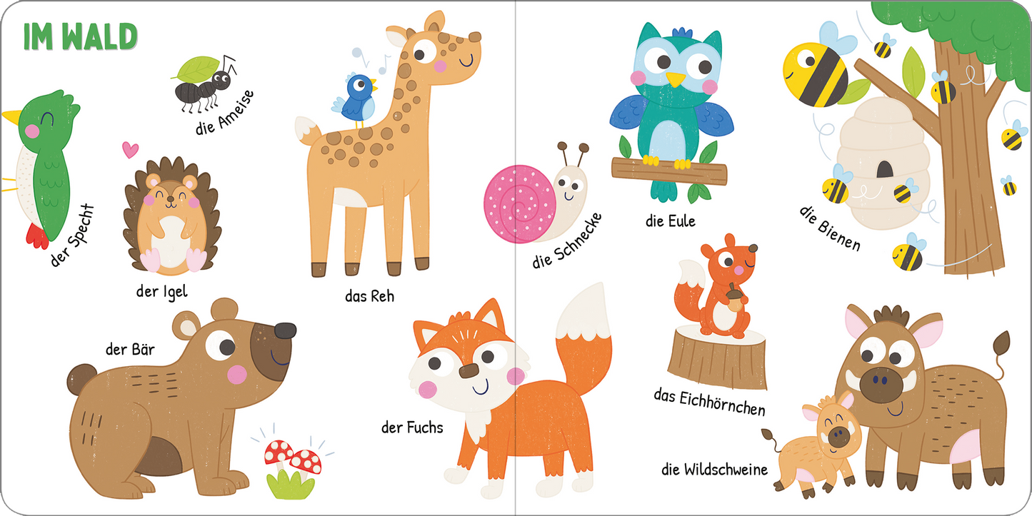Gezeigt wird eine Innen- oder Zusatzansicht von „Ich kenne die Tiere“.