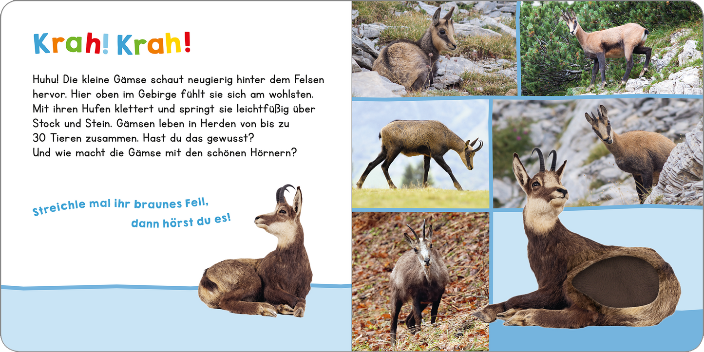 Gezeigt wird eine Innen- oder Zusatzansicht von „Hör mal rein, wer kann das sein? In den Bergen“.