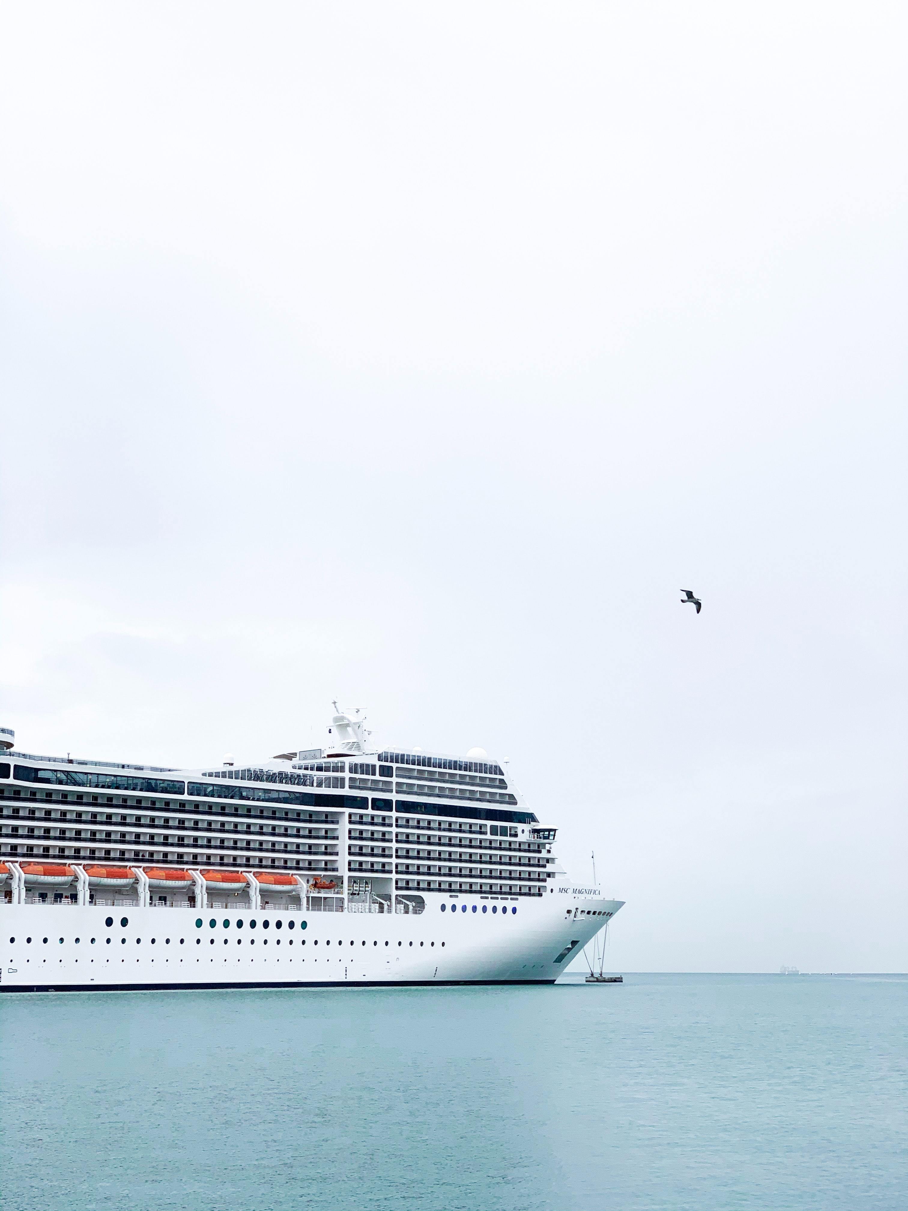 Ein Kreuzfahrtschiff auf dem Meer, der Himmel ist bewölkt, eine Möwe fliegt vorbei