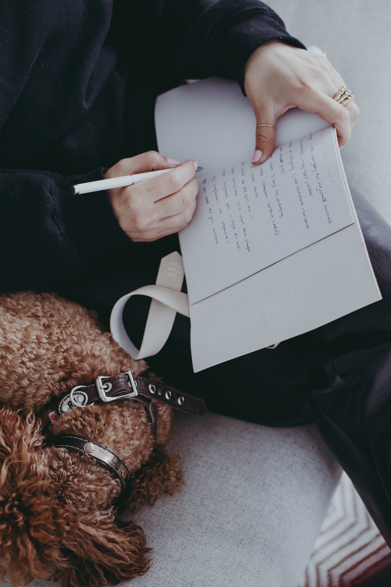 Eine Person in dunkler Kleidung sitzt auf einem Sofa und schreibt mit einem Stift in ein Notizbuch. Auf ihrem Schoß liegt ein brauner, lockiger Hund mit einem Halsband, der entspannt ruht.
