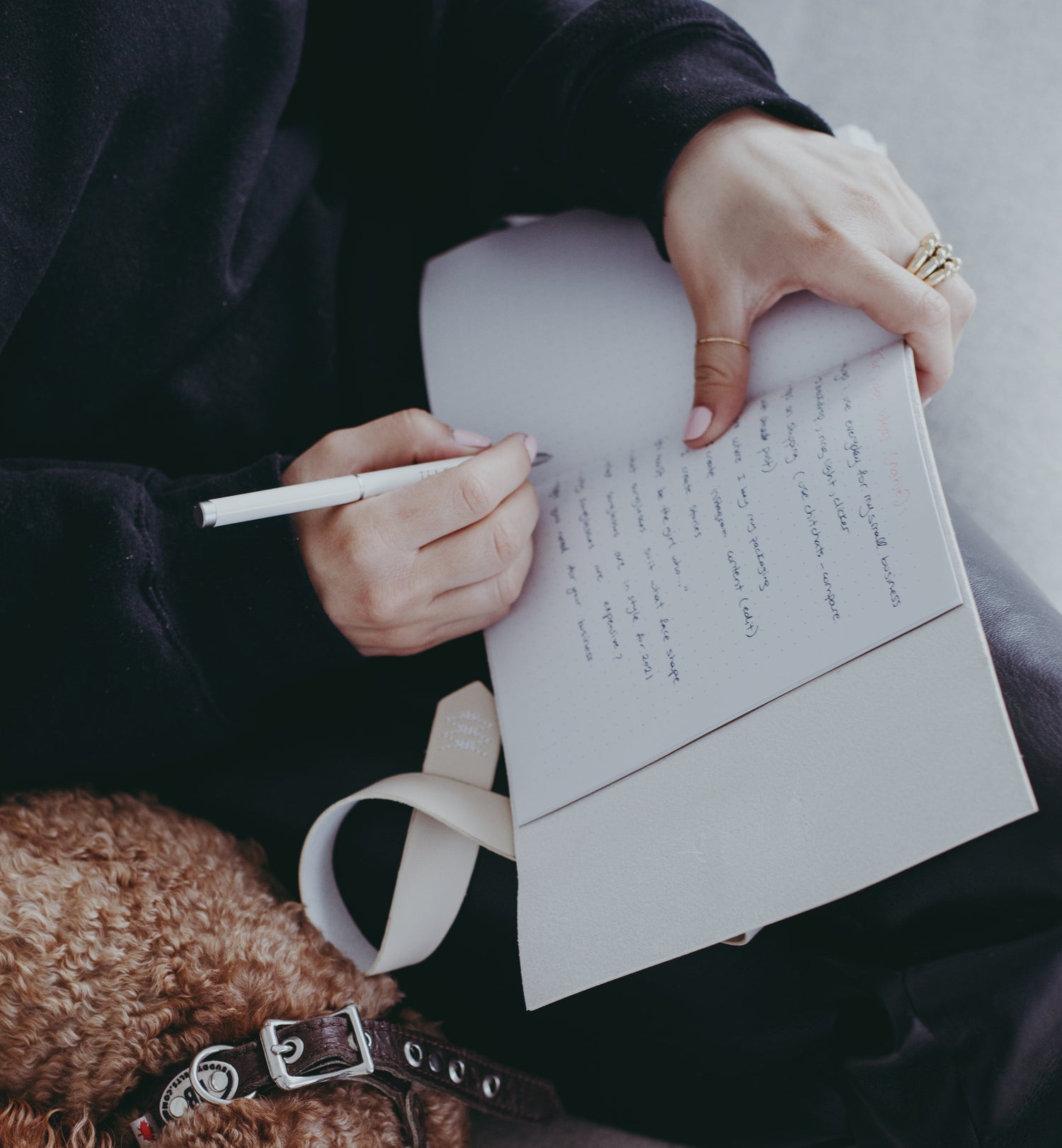 Eine Person in dunkler Kleidung sitzt auf einem Sofa und schreibt mit einem Stift in ein Notizbuch. Auf ihrem Schoß liegt ein brauner, lockiger Hund mit einem Halsband, der entspannt ruht.