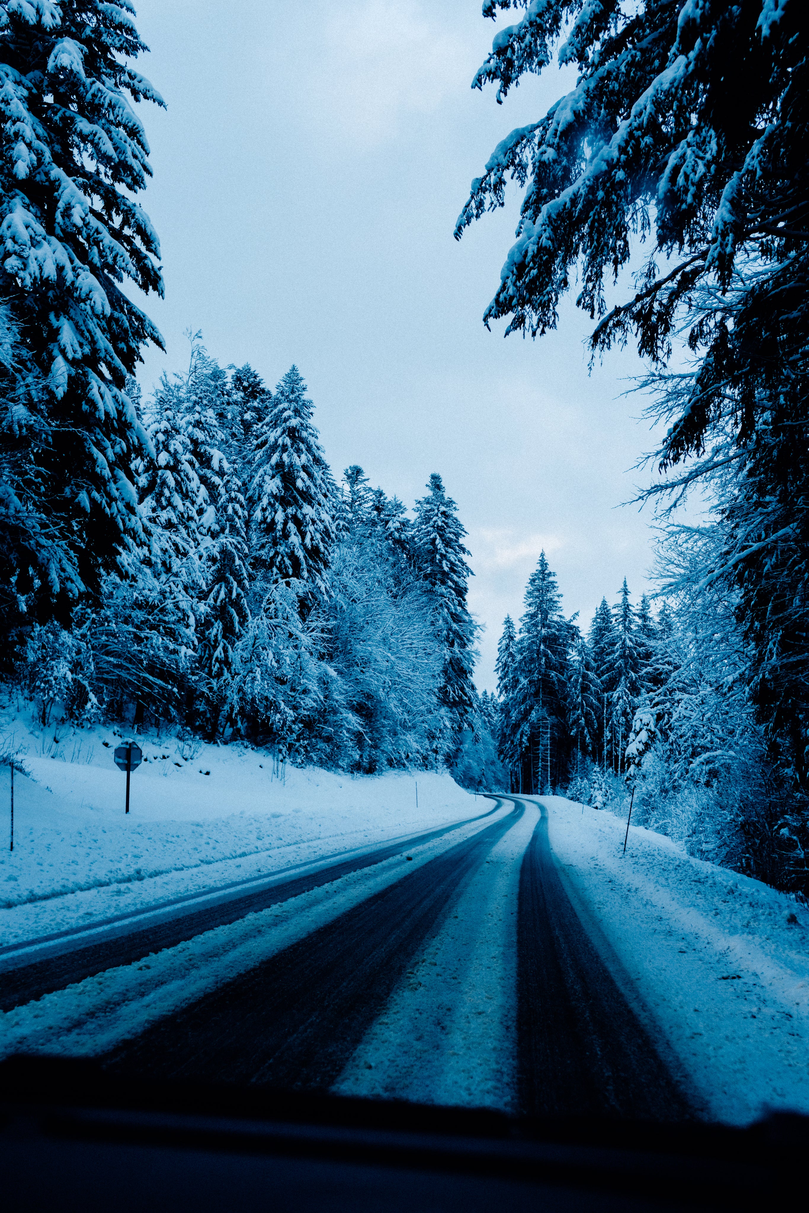 Verschneite Straße, die sich durch einen dichten Wald mit schneebedeckten Bäumen schlängelt. Der Himmel ist wolkig und die Szene vermittelt eine ruhige Winteratmosphäre.