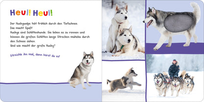 Gezeigt wird eine Innenansicht von „Hör mal rein, wer kann das sein? – Im Winter“. Die Seite präsentiert einen bunten, spielerischen Layoutstil. Links befindet sich ein Text, der mit großen, freundlichen Buchstaben in verschiedenen Farben „Heu! Heu!“ titelt. Daneben sind fröhliche Huskys abgebildet, die im Schnee spielen. Die Bilder sind hell und klar, zeigen die Tiere in unterschiedlichen Posen, während sanfte Blau- und Weißtöne das winterliche Ambiente unterstreichen.