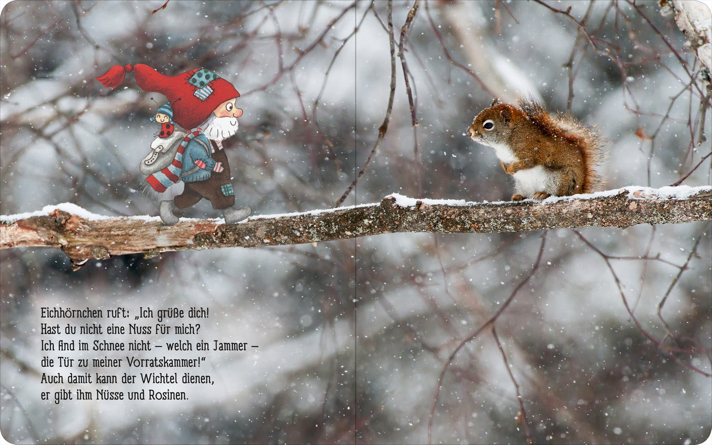 Gezeigt wird eine Innenansicht von „Winter im Wichtelwald“. Die Illustration zeigt einen Wichtel mit roter Mütze und gestreiftem Kleidungsstück, der auf einem Schnee bedeckten Ast einem Eichhörnchen begegnet. Der Hintergrund ist in sanften Grautönen gehalten und wirkt winterlich, während weiße Schneeflocken sanft herabfallen. Links ist ein handschriftlicher Text in Schwarz zu sehen, der die Szene ergänzt und eine freundliche, einladende Atmosphäre schafft.
