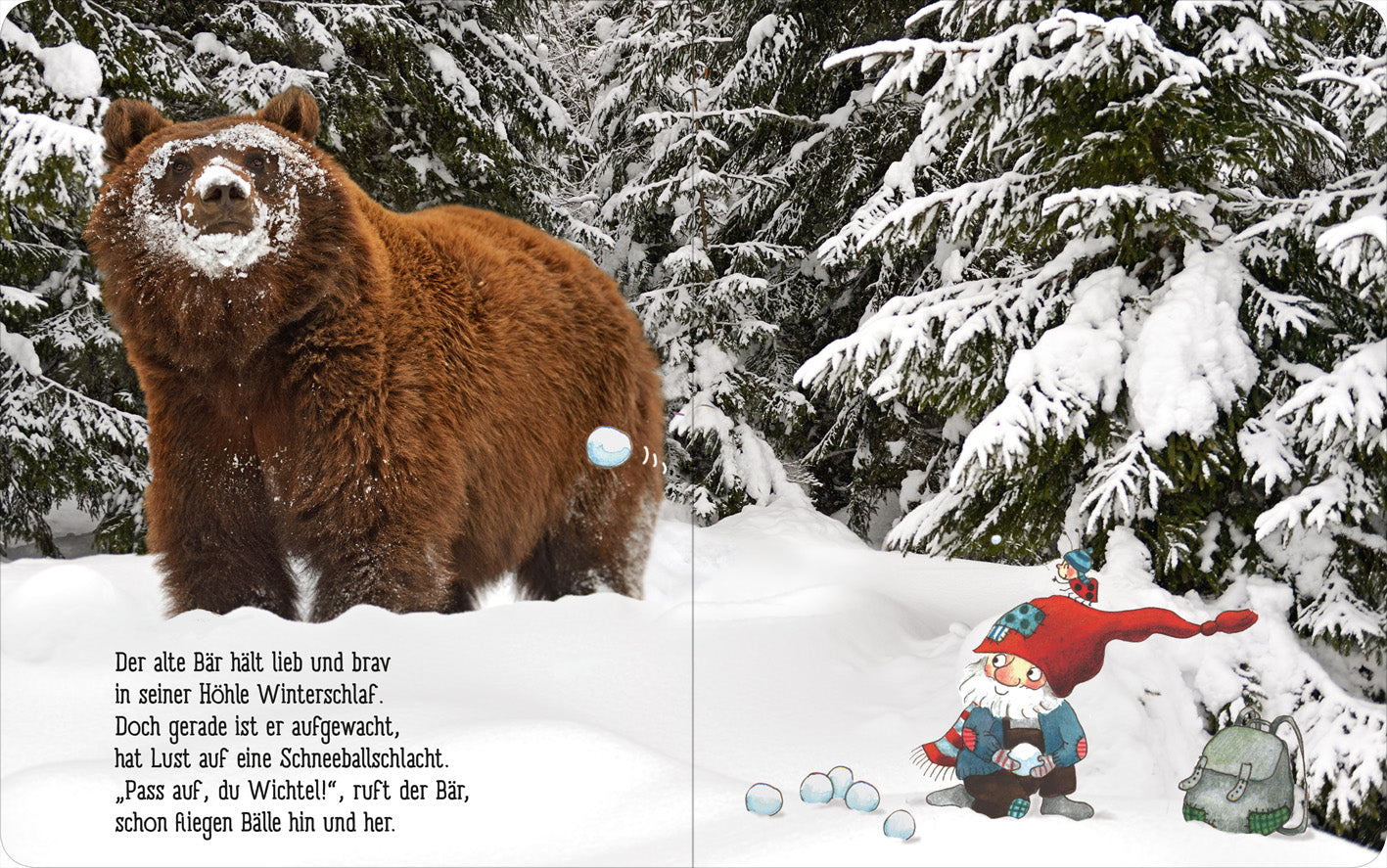 Gezeigt wird eine Innen- oder Zusatzansicht von „Winter im Wichtelwald“. Die Illustration zeigt einen großen, braunen Bären, der in verschneiter Winterlandschaft aufwacht. Umgeben von grünen Tannen, trägt der Bär eine sanfte Ausdrucksweise. Im Vordergrund spielt ein Wichtel mit roten Mütze und blauen Schnee-Bällen, ihm zur Seite steht eine kleine Schildkröte. Die Schrift ist deutlich und verschnörkelt, ergänzt durch eine winterliche Farbpalette aus Weiß, Braun und Grün.