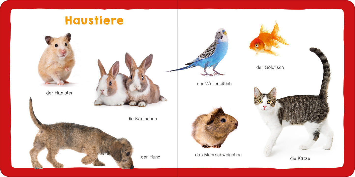 Gezeigt wird eine Innen- oder Zusatzansicht von „Meine ersten 100 Tiere“. Die Seite zeigt Haustiere mit sieben Tieren: einen Hamster, zwei Kaninchen, einen Hund, ein Meerschweinchen, eine Katze, einen Wellensittich und einen Goldfisch. Die Illustrationen sind farbenfroh, wobei die Tiere stark kontrastierend auf einem weißen Hintergrund abgebildet sind. Die Überschrift „Haustiere“ ist in großer, orangefarbener Schrift gehalten. Unter jedem Tiername steht der Text in klarer, schwarzer...