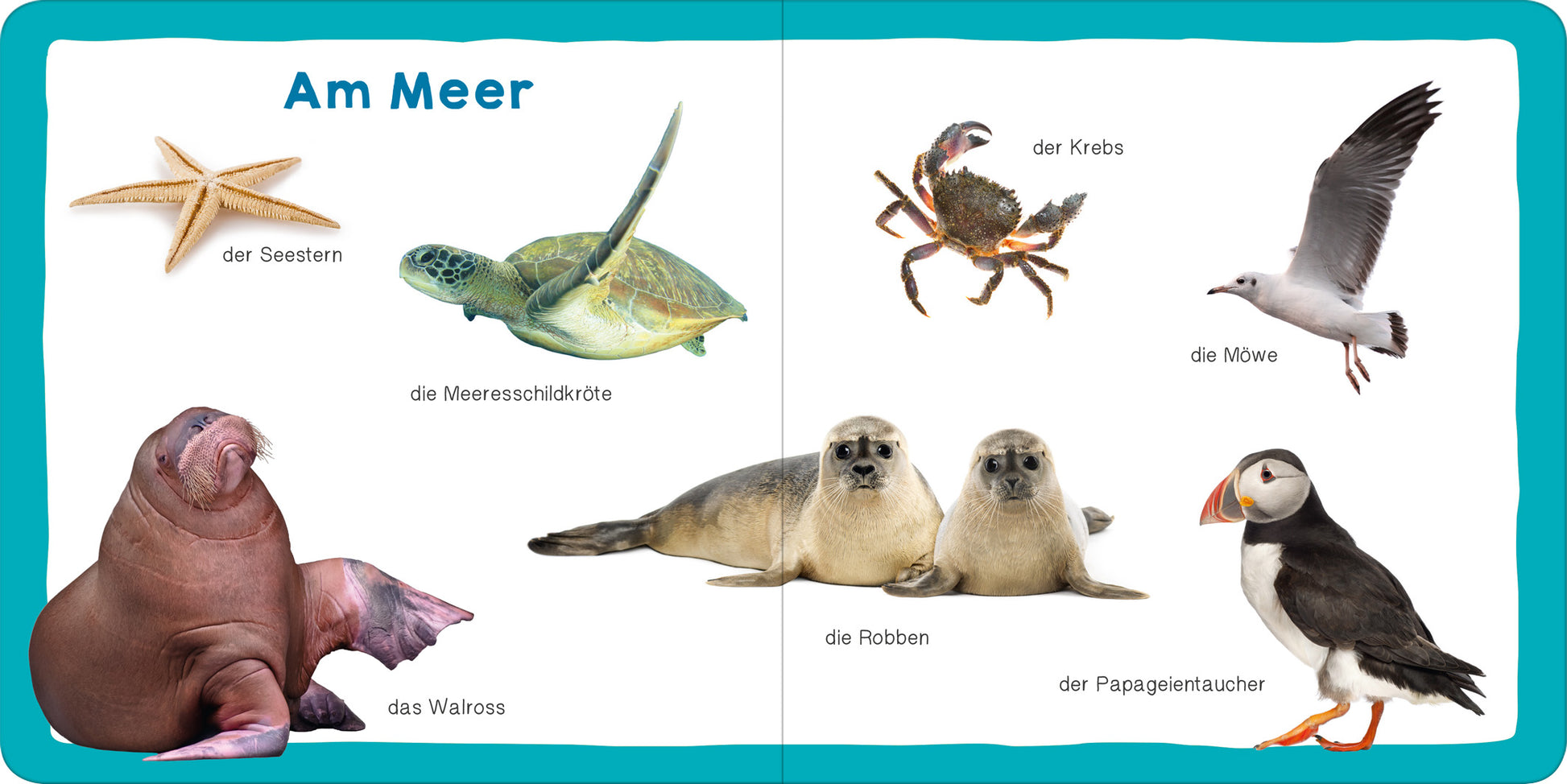 Gezeigt wird eine Innen- oder Zusatzansicht von „Meine ersten 100 Tiere“. Die Abbildung zeigt eine bunte Doppelseite mit dem Titel „Am Meer“. Auf der linken Seite sind ein Walross und ein Seestern abgebildet, während die rechte Seite eine Meeresschildkröte, einen Krebs, eine Möwe sowie zwei Robben zeigt. Die Tiere sind klar und anschaulich abgebildet, umgeben von einem blauen Rahmen. Die Schrift ist gut lesbar, mit klaren Bezeichnungen für jedes Tier.