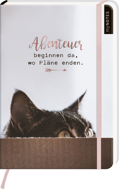 Das Buchcover zeigt einen hellen Hintergrund, auf dem die Worte „Abenteuer beginnen da, wo Pläne enden.“ in einer stilvollen, handschriftlichen Schriftart in einem sanften Rosaton gedruckt sind. Im unteren Bereich schimmert das Bild eines neugierigen schwarzen Katers, dessen leuchtende Augen aus einer dunklen Kante hervorschauen. Der obere rechte Eckbereich trägt den Aufdruck „myNOTES“. Ganz unten mittig steht der Logoschriftzug von arsEdition.