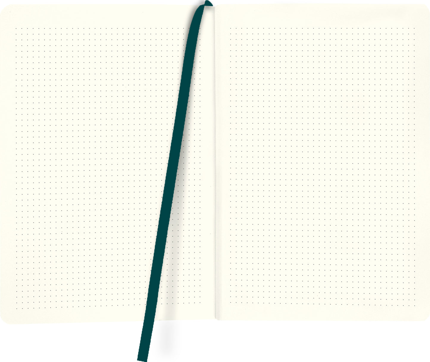 myNOTES Notizbuch A5: Monstera