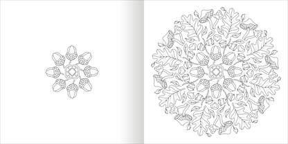 Gezeigt wird eine Innen- oder Zusatzansicht von „Mandala-Zauber – Die Jahreszeiten“. Die Abbildung zeigt eine detaillierte Mandala-Gestaltung in Schwarz-Weiß, die aus zentral angeordneten Eicheln und Eichenblättern besteht. Elemente des Designs sind symmetrisch angeordnet und mit feinen Linien ausgeführt. Der Hintergrund ist schlicht, was den Fokus auf die kunstvollen Details der Umgebung der Hauptmotivet legt.