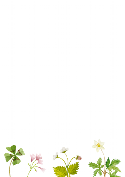 Gezeigt wird eine Innen- oder Zusatzansicht von „myNOTES Papeterie: Notizblock Naturschätze“. Auf dem weißen Hintergrund sind zarte Aquarellillustrationen verschiedener Pflanzen am unteren Rand abgebildet. Dazu gehören ein Kleeblatt, kleine Blüten in Rosa und Weiß sowie zarte grüne Blätter. Die sanften Farben der Illustrationen verleihen dem Notizblock eine frische, natürliche Anmutung. Die Gestaltung ist harmonisch und einladend und eignet sich ideal zum kreativen Notieren.