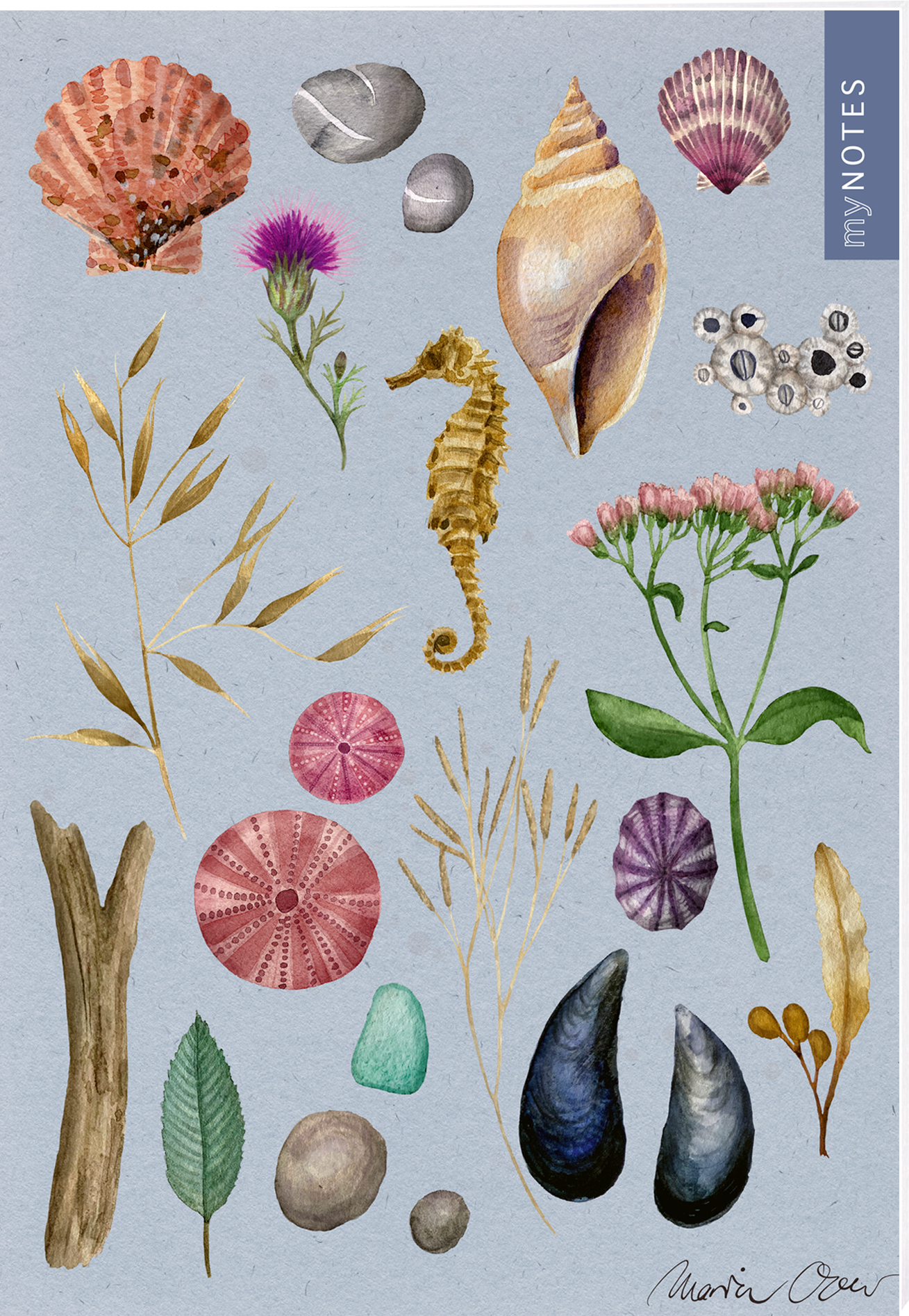 Das Buchcover zeigt eine sanfte, hellblaue Hintergrundfarbe, die mitIllustrationen von Seesternen, Muscheln und botanischen Elementen geschmückt ist. Ein gelbes, seahorsel (Seepferdchen) steht in der Mitte, umgeben von bunten, detaillierten Abbildungen von Pflanzen und Steinen. In der oberen rechten Ecke befindet sich der Schriftzug „my NOTES“ in einer modernen Schriftart. Ganz unten mittig steht der Logoschriftzug von arsEdition.