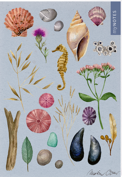 Das Buchcover zeigt eine sanfte, hellblaue Hintergrundfarbe, die mitIllustrationen von Seesternen, Muscheln und botanischen Elementen geschmückt ist. Ein gelbes, seahorsel (Seepferdchen) steht in der Mitte, umgeben von bunten, detaillierten Abbildungen von Pflanzen und Steinen. In der oberen rechten Ecke befindet sich der Schriftzug „my NOTES“ in einer modernen Schriftart. Ganz unten mittig steht der Logoschriftzug von arsEdition.