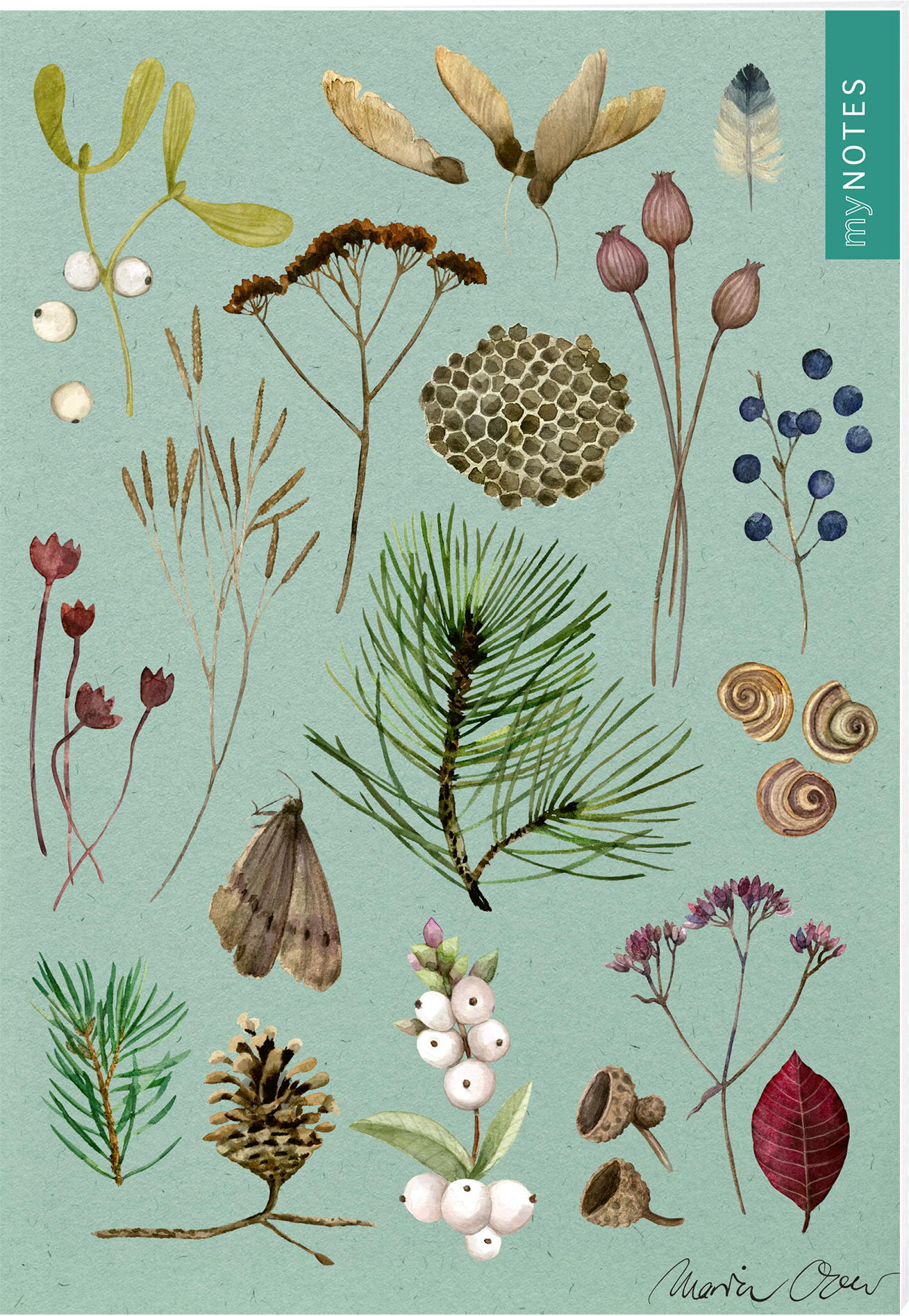 Das Buchcover zeigt eine Vielzahl von zarten botanischen Illustrationen auf einem aquamarinfarbenen Hintergrund. Darunter sind unterschiedliche Pflanzen, Beeren und Zapfen in sanften, natürlichen Farben angeordnet. Einige Motive sind in Pastelltönen gehalten, während andere dunklere Erdnuancen aufweisen. Oben rechts befindet sich ein blauer Bereich mit dem Schriftzug „MY NOTES“. Ganz unten mittig steht der Logoschriftzug von arsEdition.