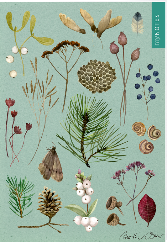 Das Buchcover zeigt eine Vielzahl von zarten botanischen Illustrationen auf einem aquamarinfarbenen Hintergrund. Darunter sind unterschiedliche Pflanzen, Beeren und Zapfen in sanften, natürlichen Farben angeordnet. Einige Motive sind in Pastelltönen gehalten, während andere dunklere Erdnuancen aufweisen. Oben rechts befindet sich ein blauer Bereich mit dem Schriftzug „MY NOTES“. Ganz unten mittig steht der Logoschriftzug von arsEdition.