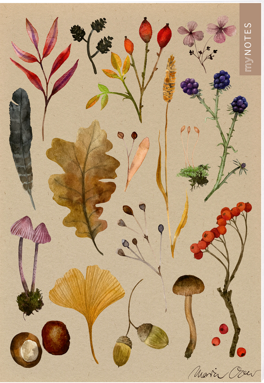 Das Buchcover zeigt eine ansprechende Anordnung von verschiedenen botanischen Illustrationen, darunter bunte Blätter, Pilze, Beeren und Pflanzen, alles auf einem kraftpapierähnlichen Hintergrund. Die Farben sind warm und variieren von tiefrot über leuchtendes Gelb bis hin zu sanftem Violett. In der oberen rechten Ecke befindet sich der Text „my NOTES“ in einer eleganten Typografie. Ganz unten mittig steht der Logoschriftzug von arsEdition.