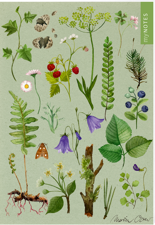 Das Buchcover zeigt eine Vielzahl von detaillierten, handgezeichneten Pflanzen und Blumen auf einem pastellgrünen Hintergrund. Darunter befinden sich unter anderem Waldfrüchte, Farns und kleine Blüten, die in sanften Farben wie Lila, Grün und Gelb gehalten sind. In der oberen rechten Ecke befindet sich ein grünes Feld mit dem Text „my NOTES“. Ganz unten mittig steht der Logoschriftzug von arsEdition.