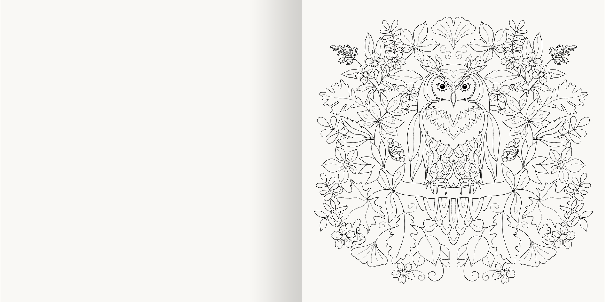 Gezeigt wird eine Innenansicht von „Aquarell-Malblock – Im Wald“. Die Abbildung zeigt eine detaillierte, schwarz-weiße Konturzeichnung einer Eule, umgeben von verschiedenen Pflanzen und Blumen. Die Eule sitzt auf einem Ast und wird von filigranen Blättern und Blüten flankiert. Die klare Linienführung und die symmetrische Anordnung der Elemente laden zur kreativen Ausgestaltung ein. Der Hintergrund ist neutral, wodurch die Zeichnung hervorgehoben wird.