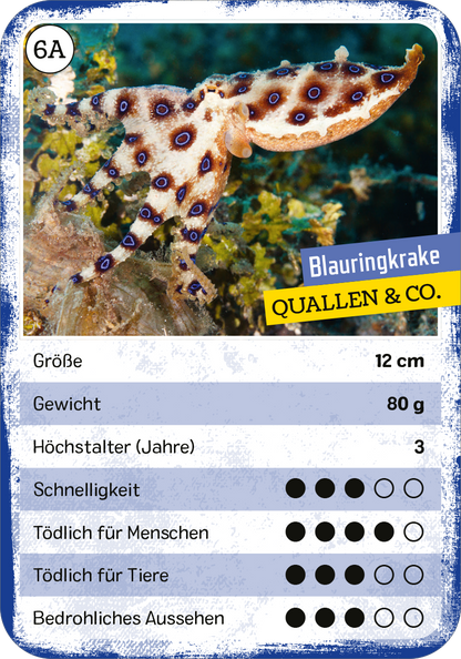 Gezeigt wird eine Innen- oder Zusatzansicht von „Das tödliche Quartett“. Die Karte zeigt einen Blauringkraken auf einem meeresblauen Hintergrund. Im oberen Bereich steht der Titel „Blauringkrake“ in gelber Schrift. Darunter sind verschiedene Informationen aufgeführt, einschließlich Größe und Gewicht, in einer klaren, gut lesbaren Schrift. Symbole auf der Karte bewerten Eigenschaften wie Schnelligkeit und Gefährlichkeit für Menschen sowie Tiere, dargestellt durch ausgefüllte und...