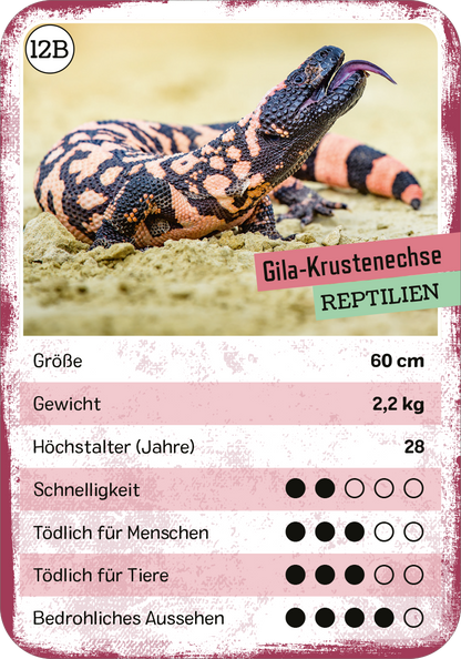 Gezeigt wird eine Innen- oder Zusatzansicht von „Das tödliche Quartett“. Die Darstellung zeigt einen Gila-Krustenechsen-Informationskarten mit einer hellen, sandfarbenen Hintergrundstruktur. Oben links befindet sich ein Kreis mit der Nummer „12B“. Darunter ist der Titel „Gila-Krustenechse“ in einer kräftigen Schriftart, gefolgt von „REPTILIEN“ in einer grün-blauen Box. Es sind einzelne Angaben zu Größe, Gewicht und Lebensdauer aufgelistet, ergänzt durch individuelle...