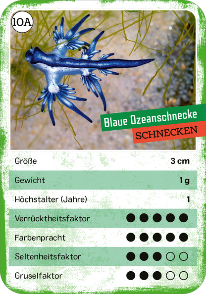 Gezeigt wird eine Innen- oder Zusatzansicht von „Das verrückte Quartett“. Die Darstellung zeigt eine Karte mit der „Blauen Ozeanschnecke“ in lebendigen Blau- und Grüntönen. Die obere Hälfte präsentiert das Tier in seiner natürlichen Umgebung, während die untere Hälfte Informationen wie Größe, Gewicht und Altersangabe enthält. Die Typografie ist bunt und auffällig, wobei Kategorien wie „Verrücktheitsfaktor“ durch Punkte visuell hervorgehoben werden. Der Hintergrund ist...