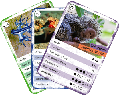 Gezeigt wird eine Innen- oder Zusatzansicht von „Das verrückte Quartett“. Die Abbildung zeigt mehrere Spielkarten, jeweils mit farbigen Hintergründen in Blau, Grün und Lila. Auf den Karten sind tierische Motive abgebildet, begleitet von verschiedenen Informationen wie Größe und Gewicht. Die Typografie ist klar und gut lesbar, mit hervorgehobenen Überschriften in kontrastierenden Farben. Die Karten vermitteln ein lebhaftes und kreatives Design, das die Spielmechanik unterstützt.