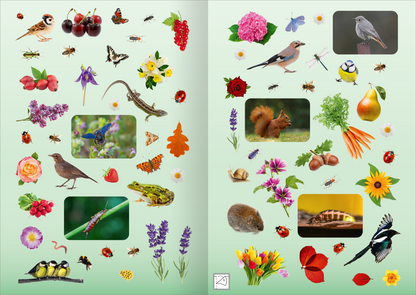 Gezeigt wird eine Innen- oder Zusatzansicht von „Naturforscher-Kids – Fotosticker Im Garten“. Die Seite präsentiert eine Vielfalt an bunten, realistischen Abbildungen von Pflanzen, Tieren und Insekten auf einem sanften grünen Hintergrund. Zentral befinden sich mehrere Bilderrahmen, die Tier- und Pflanzenausschnitte zeigen, umrahmt von verschiedenen floralen und tierischen Illustrationen. Die Farben sind kräftig und einladend, während die Typografie klar und kindgerecht gestaltet ist.