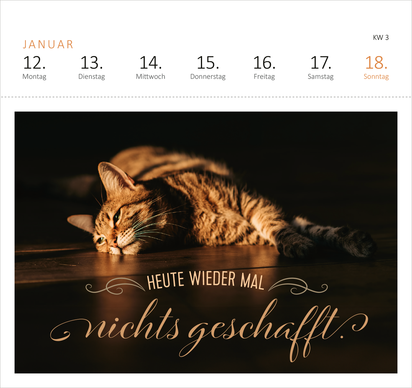 Gezeigt wird eine Innen- oder Zusatzansicht von „Postkartenkalender Vergiss Rosen, streu mir Pommes aufs Bett. 2026“. Auf dem Bild liegt eine entspannte, gestreifte Katze auf einem Holzboden. Darunter steht in verspielter, goldfarbener Typografie der Satz „HEUTE WIEDER MAL nichts geschafft“. Der Hintergrund ist in sanften, warmen Tönen gehalten, was eine gemütliche Atmosphäre schafft. Darüber sind die Wochentage und das aktuelle Datum in schlichter, schwarzer Schrift angeordnet.