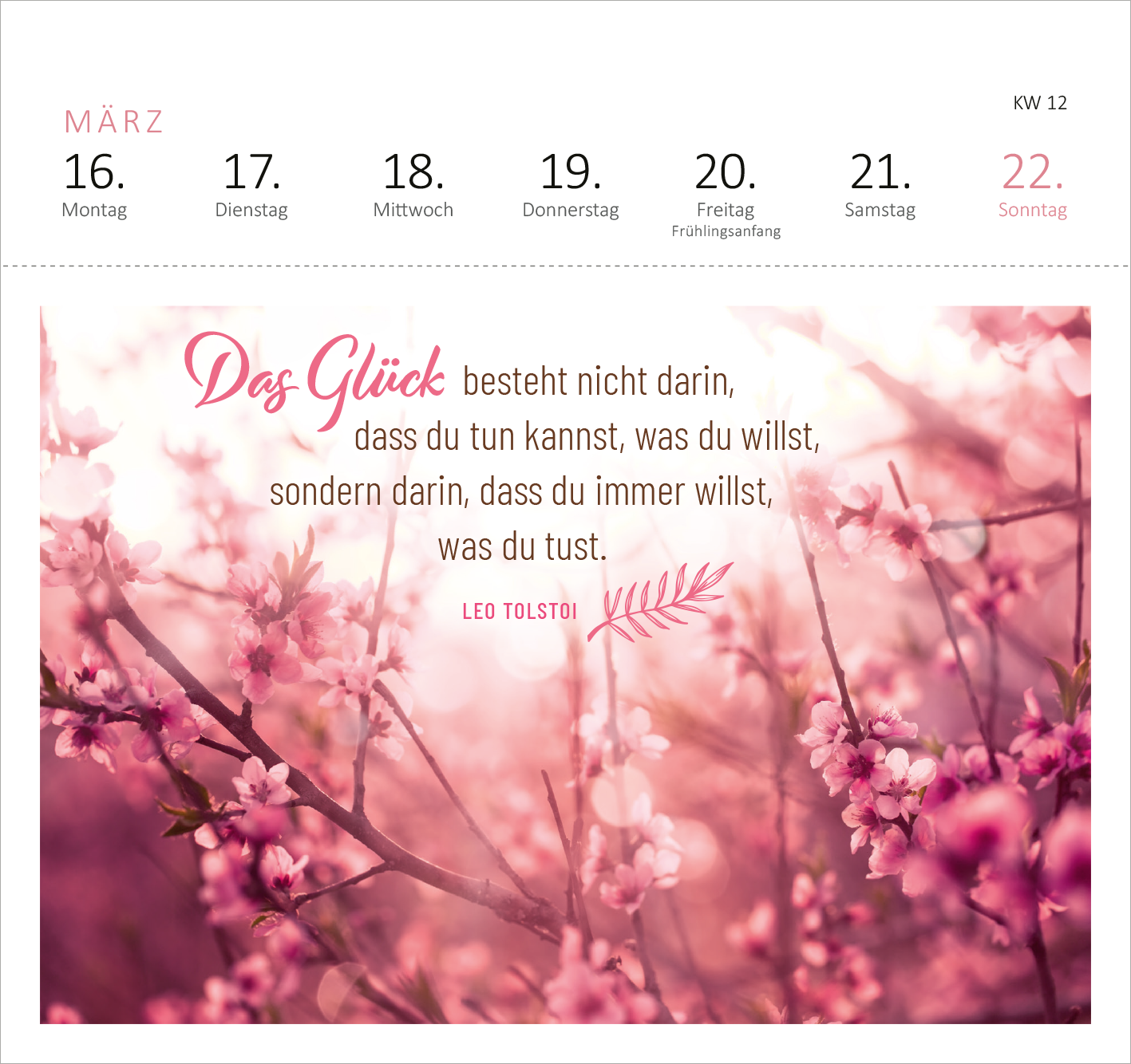 Gezeigt wird eine Innen- oder Zusatzansicht von „Postkartenkalender 365 Tage Gelassenheit 2026“. Die Darstellung umfasst eine sanfte, rosa Farbpalette mit einem blühenden Kirschbaum im Hintergrund. Die zentrale typografische Botschaft in einer eleganten, geschwungenen Schriftart lautet: „Das Glück besteht nicht darin, dass du tun kannst, was du willst, sondern darin, dass du immer willst, was du tust.“ Die Quelle „LEO TOLSTOI“ steht in klarer Schrift darunter.