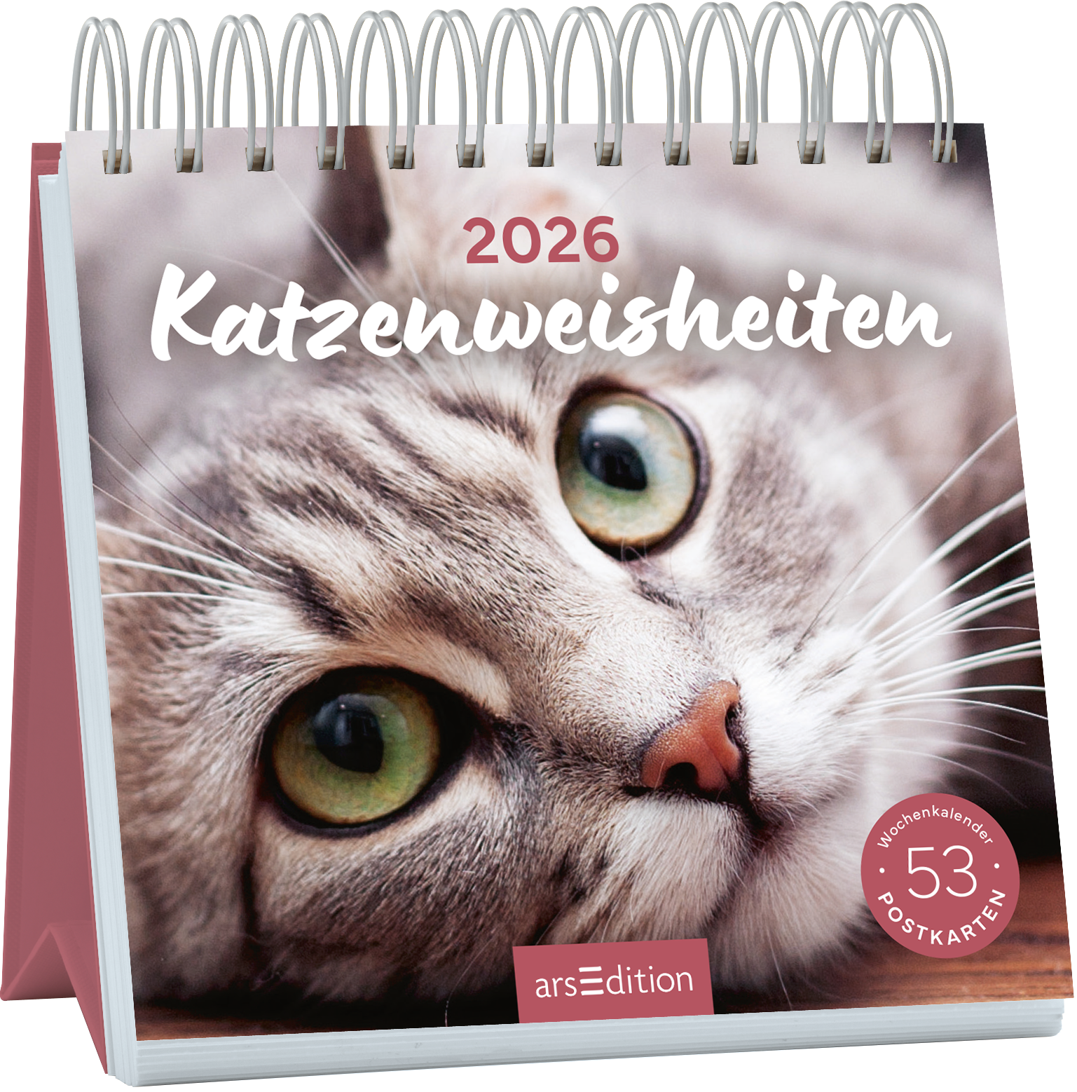 Auf dem Buchcover „Katzenweisheiten 2026“ ist das Nahaufnahme eines grauen Katzenkopfes mit großen, grünen Augen abgebildet. Der Titel in geschwungener, weißer Schrift hebt sich sanft vom Hintergrund ab, der in warmen, neutralen Farben gehalten ist. Oben links steht die Jahreszahl „2026“. Unten rechts ist ein runder Button mit dem Text „53 Postkarten“ zu sehen. Ganz unten mittig steht der Logoschriftzug von arsEdition.