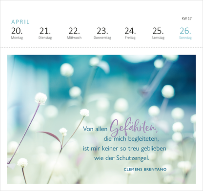 Gezeigt wird eine Innen- oder Zusatzansicht von „Postkartenkalender Engelsbotschaften 2026“. Im oberen Bereich sind die Kalendertage des Monats April in klarer, schwarzer Typografie angeordnet. Darunter erscheint ein zartes, pastellfarbenes Hintergrundbild mit blühenden Pflanzen in Blau- und Grüntönen. Zentrale Teile des Zitats sind in sanften Lila- und Blautönen hervorgehoben: „Von allen Gefährten, die mich begleiteten, ist mir keiner so treu geblieben wie der Schutzengel“. Am...
