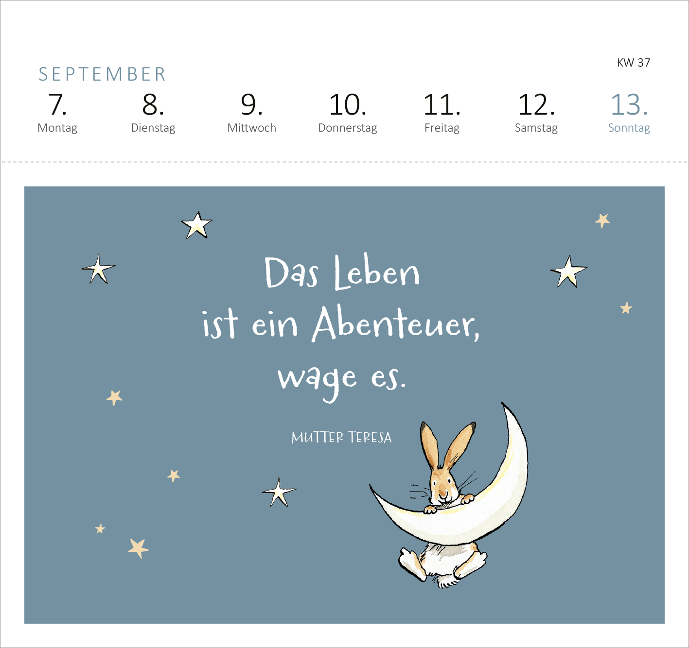 Gezeigt wird eine Innen- oder Zusatzansicht von „Postkartenkalender Weißt du eigentlich, wie lieb ich dich hab? 2026“. Die Darstellung zeigt einen sanften, blauen Hintergrund, auf dem ein niedlicher Hase sitzt, der mit einer Mondsichel interagiert. Darüber steht in verspielter, weißer Schrift der Text: „Das Leben ist ein Abenteuer, wage es.“ Der Schriftzug ist charmant und einladend, während dekorative Sterne das Bild ergänzen und für eine harmonische Stimmung sorgen.