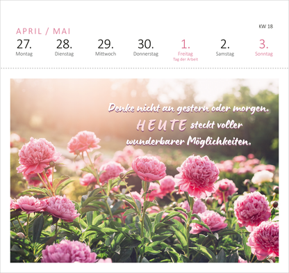 Gezeigt wird eine Innen- oder Zusatzansicht von „Postkartenkalender 365 Tage Sonne im Herzen 2026“. Die Abbildung zeigt eine blühende Gartenlandschaft mit üppigen rosa Pfingstrosen, die vor einem sanften, pastellfarbenen Hintergrund platziert sind. Über den Blumen steht in einer geschwungenen, handschriftlichen Schriftart der ermutigende Text „Denke nicht an gestern oder morgen. HEUTE steckt voller wunderbarer Möglichkeiten.“ Die Farbgestaltung ist harmonisch und strahlt eine...