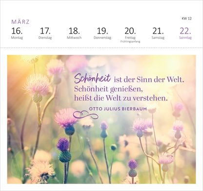 Gezeigt wird eine Innen- oder Zusatzansicht von „Postkartenkalender Lebensweisheiten 2026“. Der Kalender zeigt eine sanfte, pastellfarbene Blumenwiese als Hintergrund. Über dem Bild steht der Schriftzug in elegantem Blau: „Schönheit ist der Sinn der Welt. Schönheit genießen, heißt die Welt zu verstehen.“ Darunter ist der Name „OTTO JULIUS BIERBAUM“ in geschwungener Schrift platziert. Die Wochentage sind klar und gut lesbar in einer minimalistischen Typografie angezeigt, wobei...