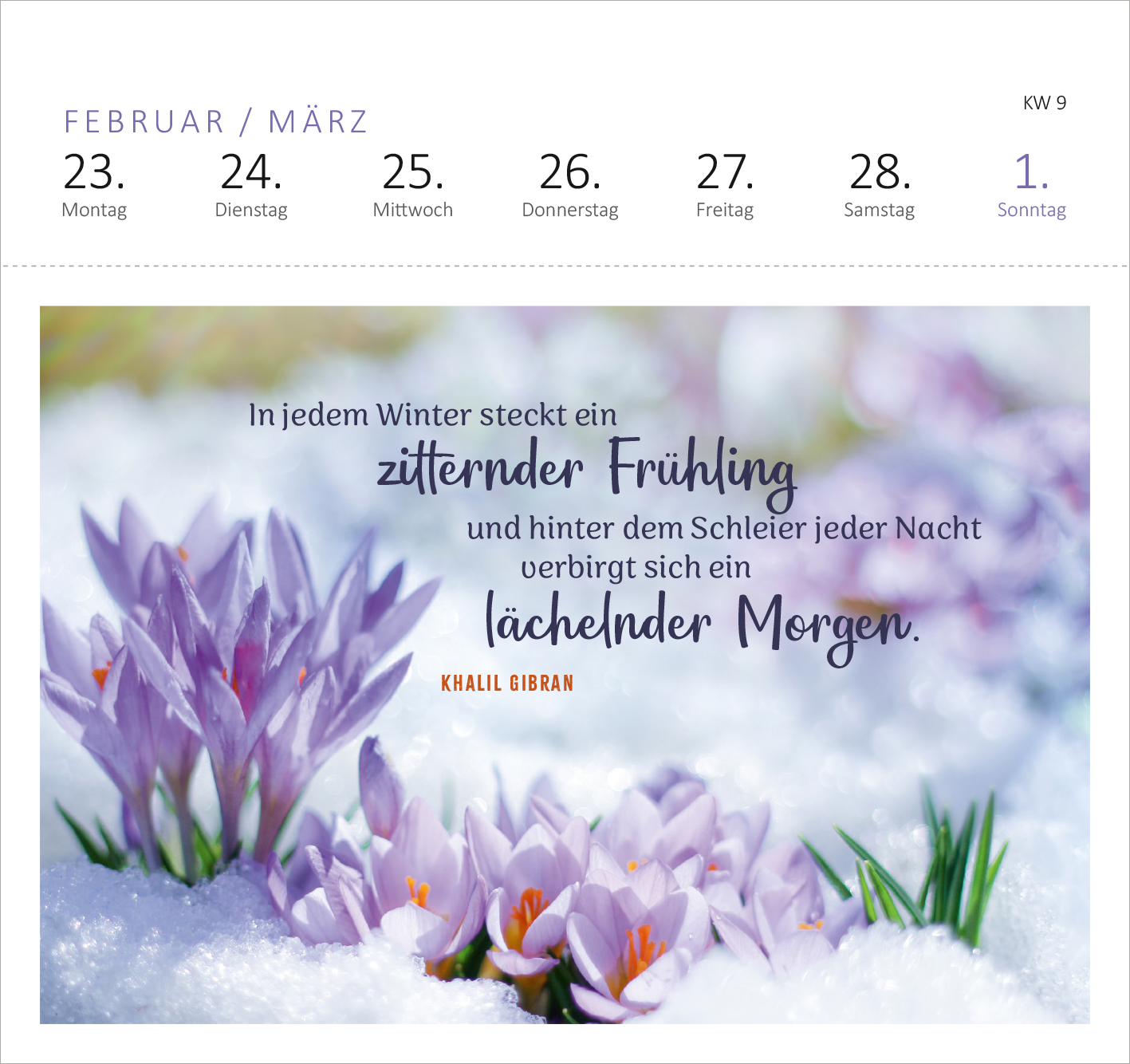 Gezeigt wird eine Innen- oder Zusatzansicht von „Postkartenkalender Gartenglück 2026“. Die Abbildung zeigt eine blühende Crocus-Wiese in schneeweißer Umgebung. Der obere Bereich enthält die Monate Februar und März sowie die Wochentage. Im unteren Bereich steht ein Zitat von Khalil Gibran: „In jedem Winter steckt ein zitternder Frühling…“. Die Schrift ist in einem harmonischen Mix aus elegantem und klar leserlichem Design, teilweise in Dunkelblau und Orange gehalten.