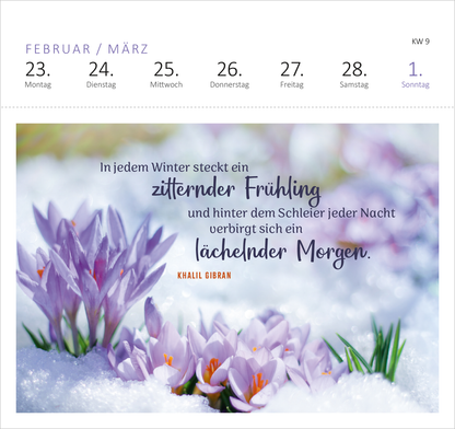 Gezeigt wird eine Innen- oder Zusatzansicht von „Postkartenkalender Gartenglück 2026“. Die Abbildung zeigt eine blühende Crocus-Wiese in schneeweißer Umgebung. Der obere Bereich enthält die Monate Februar und März sowie die Wochentage. Im unteren Bereich steht ein Zitat von Khalil Gibran: „In jedem Winter steckt ein zitternder Frühling…“. Die Schrift ist in einem harmonischen Mix aus elegantem und klar leserlichem Design, teilweise in Dunkelblau und Orange gehalten.