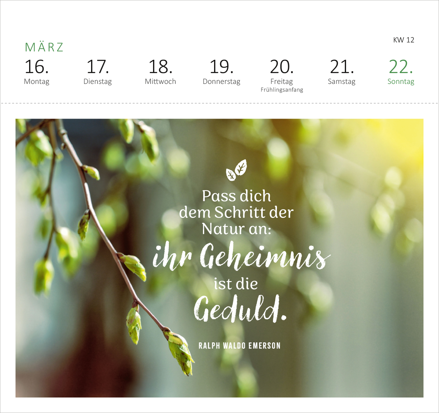 Gezeigt wird eine Innen- oder Zusatzansicht von „Postkartenkalender Gartenglück 2026“. Das Design zeigt eine sanfte, hellgrüne Hintergrundfarbe mit zarten Zweigen und frischen Blättern. In der Mitte befindet sich der handgeschriebene Spruch: „Pass dich dem Schritt der Natur an: ihr Geheimnis ist die Geduld.“ Darunter steht in einfacher Schrift „Ralph Waldo Emerson“. Der Kalender ist übersichtlich gestaltet mit Wochentagen und einem klaren Layout.