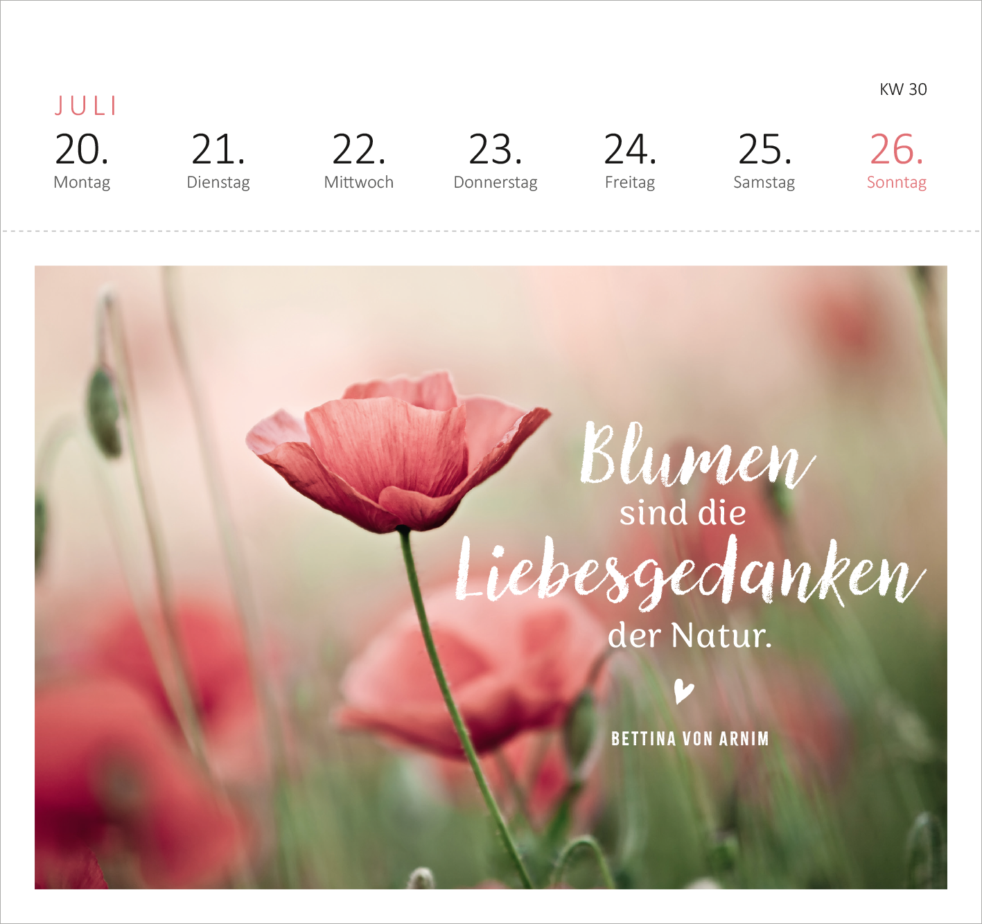 Gezeigt wird eine Innen- oder Zusatzansicht von „Postkartenkalender Gartenglück 2026“. Der Kalender zeigt eine sanfte, pastelartige Farbpalette mit einer Fokusierung auf zarte Blüten in Rosatönen. Das Zitat „Blumen sind die Liebesgedanken der Natur“ ist in einer eleganten, geschwungenen Schrift platziert, während der Autorennamen Bettina von Arnim in einer schlichten Schrift darunter hervortritt. Oben sind die Wochentage klar strukturiert und gut lesbar dargestellt.
