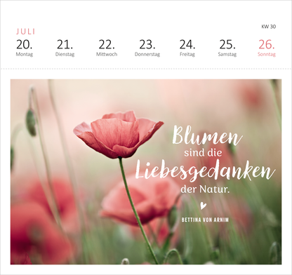 Gezeigt wird eine Innen- oder Zusatzansicht von „Postkartenkalender Gartenglück 2026“. Der Kalender zeigt eine sanfte, pastelartige Farbpalette mit einer Fokusierung auf zarte Blüten in Rosatönen. Das Zitat „Blumen sind die Liebesgedanken der Natur“ ist in einer eleganten, geschwungenen Schrift platziert, während der Autorennamen Bettina von Arnim in einer schlichten Schrift darunter hervortritt. Oben sind die Wochentage klar strukturiert und gut lesbar dargestellt.