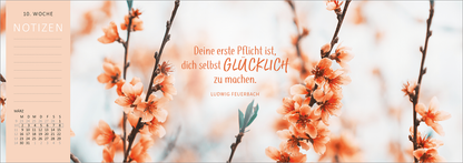 Gezeigt wird eine Innen- oder Zusatzansicht von „Tischkalender Heute ist mein Lieblingstag! 2026“. Die Seite präsentiert zarte, blühende Zweige in sanften Orangetönen auf einem hellen Hintergrund. In der Mitte steht der inspirierende Spruch „Deine erste Pflicht ist, dich selbst GLÜCKLICH zu machen“ in ansprechender, eleganter Schriftart. Darunter ist der Name des Autors, Ludwig Feuerbach, in kleinerer Schrift platziert. Links befindet sich ein Bereich für Notizen, farblich...