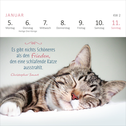 Gezeigt wird eine Innen- oder Zusatzansicht von „Mini-Wochenkalender Katzenweisheiten 2026“. Der Kalender präsentiert eine entspannte schlafende Katze im Vordergrund. Darüber stehen die Wochentage in klarer, schwarzer Schrift auf einem weißen Hintergrund. Ein Zitat von Christopher Smart in geschwungener, roter Schrift hebt sich ab und vermittelt eine entspannende Atmosphäre. Die Farbpalette ist sanft und beruhigend, mit dominierendem Weiß und zarten Farbakzenten, die die ansprechende...