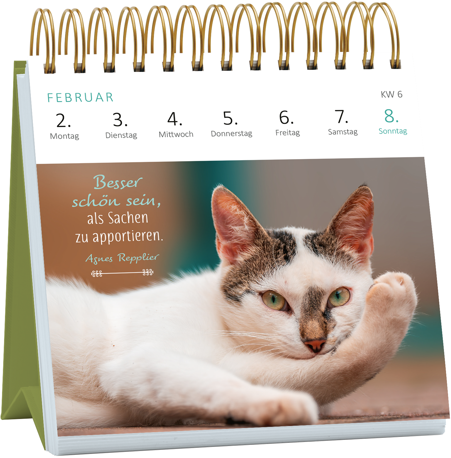 Gezeigt wird eine Innen- oder Zusatzansicht von „Mini-Wochenkalender Katzenweisheiten 2026“. Die Seite zeigt einen kätzischen Motiv mit einem leichten, pastellfarbenen Hintergrund. Darauf findet sich in sanften, eleganten Schriftarten das Zitat „Besser schön sein, als Sachen zu apportieren.“ unterhalb des Katzenbildes, das eine gemütlich liegende Katze mit auffälligen grünen Augen zeigt. Die Wochentage sind klar strukturiert und in einer gut lesbaren Schriftart gestaltet.