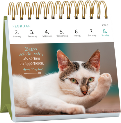 Gezeigt wird eine Innen- oder Zusatzansicht von „Mini-Wochenkalender Katzenweisheiten 2026“. Die Seite zeigt einen kätzischen Motiv mit einem leichten, pastellfarbenen Hintergrund. Darauf findet sich in sanften, eleganten Schriftarten das Zitat „Besser schön sein, als Sachen zu apportieren.“ unterhalb des Katzenbildes, das eine gemütlich liegende Katze mit auffälligen grünen Augen zeigt. Die Wochentage sind klar strukturiert und in einer gut lesbaren Schriftart gestaltet.