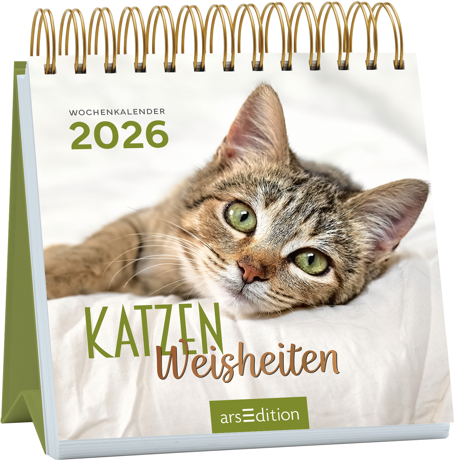 Auf dem Buchcover ist ein naher Blick auf eine niedliche, gestreifte Katze mit großen, grünen Augen zu sehen, die entspannt auf einem weißen Untergrund liegen. Oben links steht in sanften, grünen Buchstaben „WOCHENKALENDER 2026“. Der Titel „KATZEN Weisheiten“ ist in einer verspielten Kombination aus grüner und brauner Schriftart gestaltet. Die Atmosphäre des Covers ist freundlich und einladend. Ganz unten mittig steht der Logoschriftzug von arsEdition.